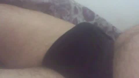 pol2023 online show from July 14, 3:33 am