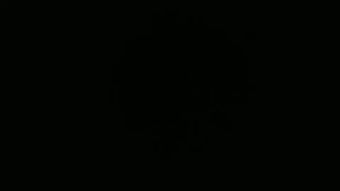 polecat2000 online show from November 26, 6:33 pm