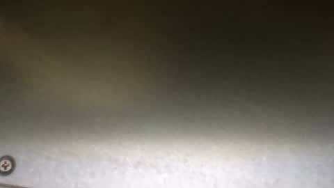 DIEGO O DIEGUITO online show from April 14, 2:38 pm