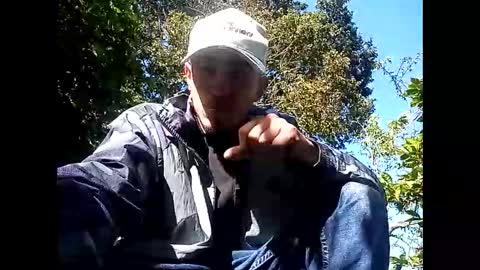 P0P online show from January 18, 1:35 pm