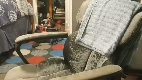 Noggine online show from January 16, 6:16 am