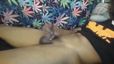 Libra Lamont online show from November 22, 10:37 am