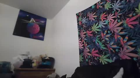 Libra Lamont online show from September 13, 2:45 am