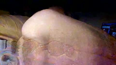 ptut82 online show from November 14, 2:15 am