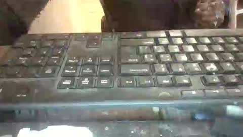 pup_y online show from February 2, 8:35 am