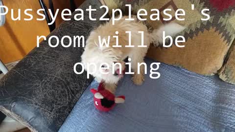 Rick online show from February 8, 10:29 am