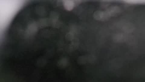 Dmitry online show from March 11, 7:58 pm