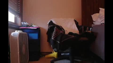 Lauren online show from January 2, 2:46 pm