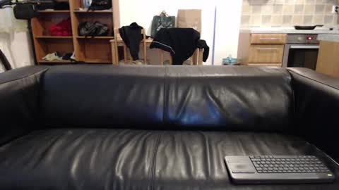 rafaelosteel online show from March 12, 9:13 pm