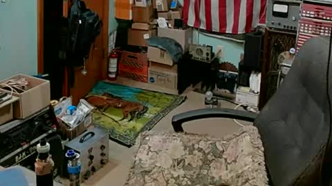 Randall online show from March 3, 2:22 am