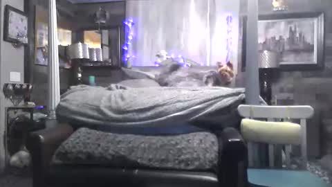 Randy8inbater online show from February 8, 11:59 am