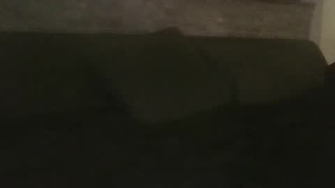 rapzerr online show from September 16, 3:29 am
