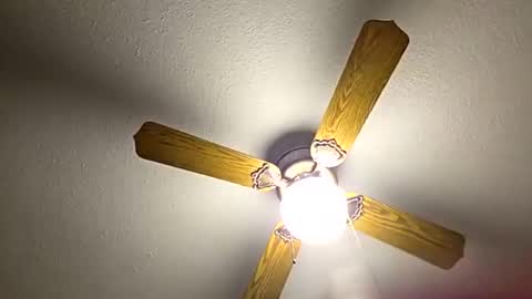 red24devils online show from November 19, 12:43 am