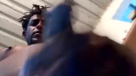 reinft online show from February 10, 2:38 am