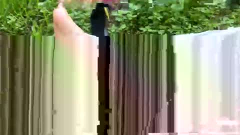 rennn100 online show from November 6, 5:38 pm