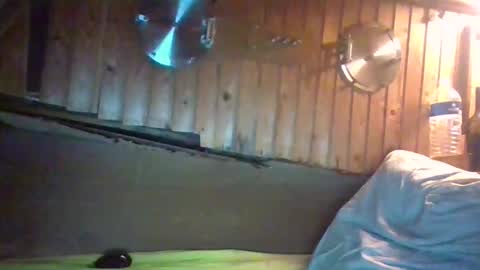 Joe online show from October 13, 8:04 pm