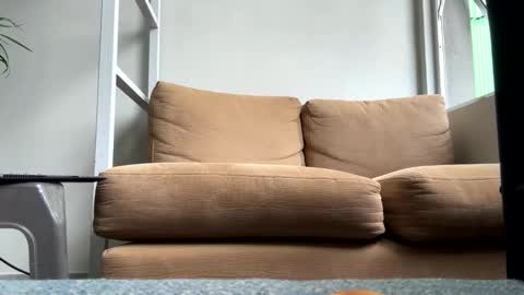 rgneo online show from November 22, 5:56 pm