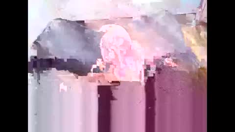 riffraffrackus online show from October 11, 7:18 pm