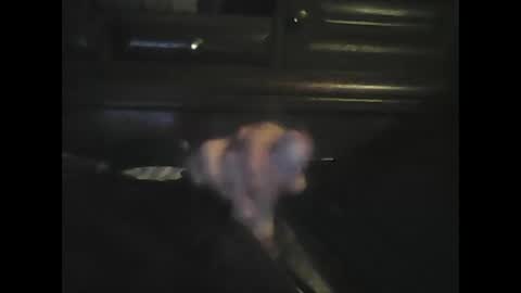 rlpl online show from October 1, 6:34 pm