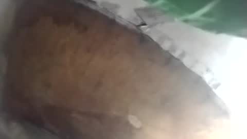 R online show from January 15, 10:12 pm