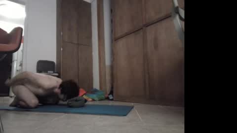 rorenjooo online show from April 1, 1:51 am