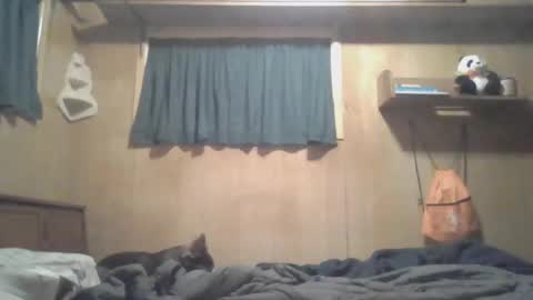 Lost4gain online show from March 5, 10:00 am