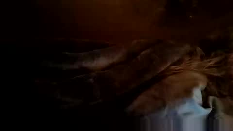 rotorranch online show from October 23, 10:51 am