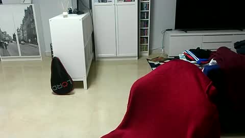 roubarixx online show from January 25, 8:42 am