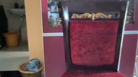 rsex2007 online show from November 11, 7:46 am