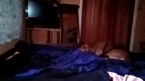 rubberburn online show from February 3, 5:18 am