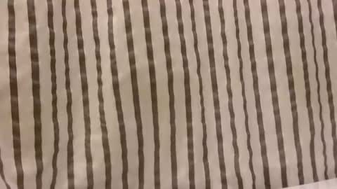 Snapshot of sacalaschichiss chatting on October 29, 1:14 pm Dee online show from October 29, 1:14 pm