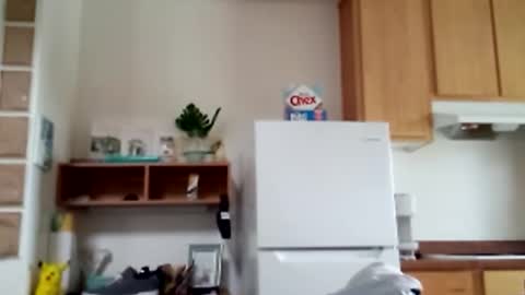 salis1981 online show from February 9, 8:46 pm