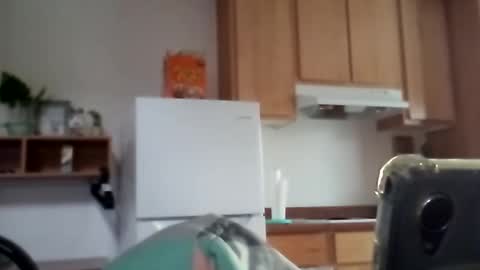 salis1981 online show from December 17, 11:55 pm