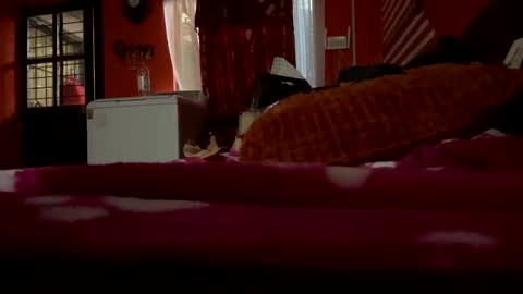 sans_976802 online show from February 21, 12:05 am