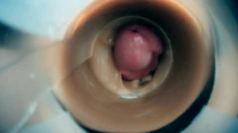 Scarr online show from March 1, 8:08 pm