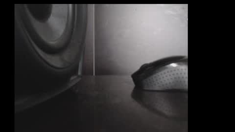 Daniel Taylor online show from November 15, 12:18 pm