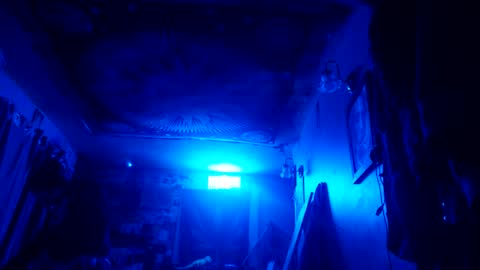 shagz2much online show from January 21, 2:11 am