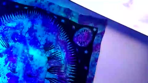 shagz2much online show from January 19, 4:44 am