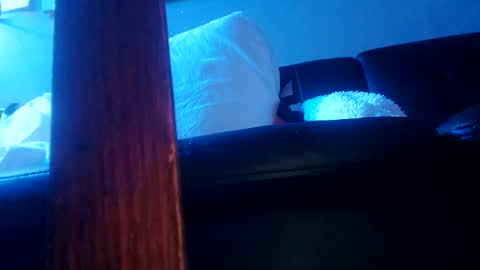 shagz2much online show from January 7, 10:41 pm