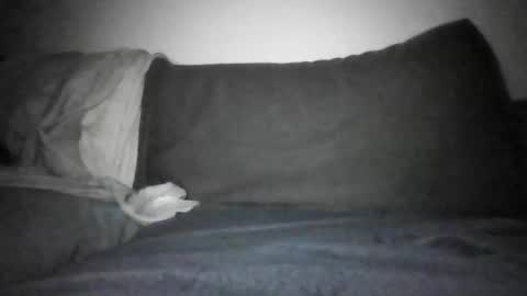 Shorty online show from December 17, 6:14 pm