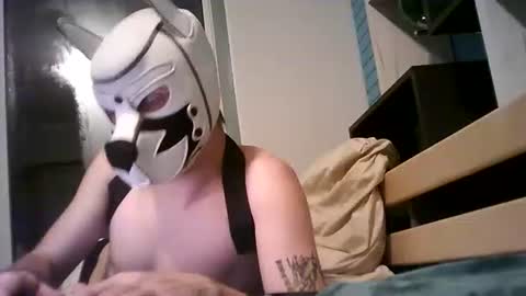 shirogane2004 online show from January 7, 8:03 pm