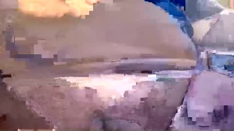 Snapshot of showsme chatting on October 20, 6:50 am showsme online show from October 20, 6:50 am