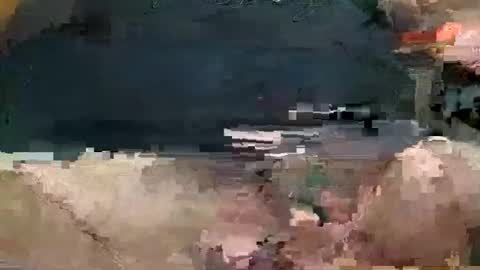 showsme online show from March 18, 7:33 am