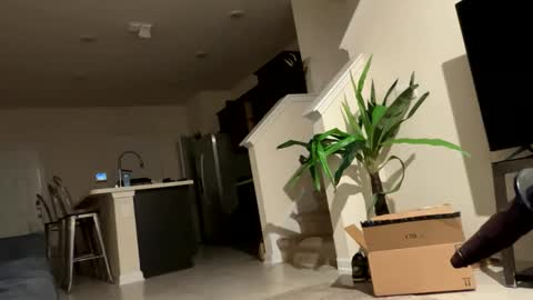 shurthingxx online show from November 16, 2:57 am