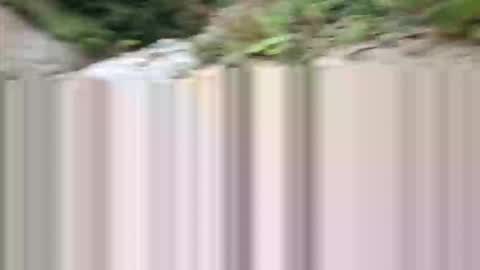 tom online show from September 29, 5:50 am