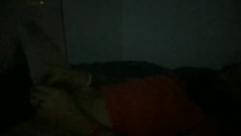 sinamaxx online show from December 2, 12:08 pm