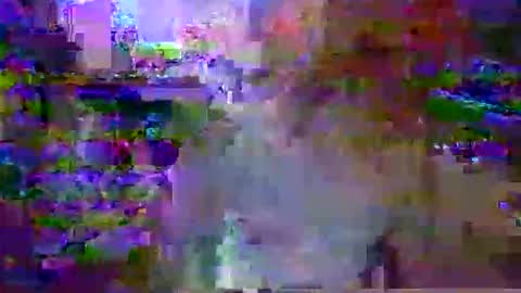 slicktrojan online show from December 23, 10:24 am