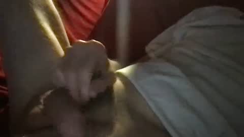 slienthear83 online show from February 28, 1:58 am