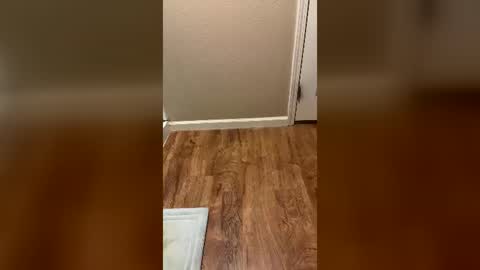smallcock6955555 online show from July 18, 8:14 pm