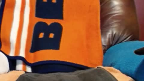 CJ online show from October 18, 5:01 am